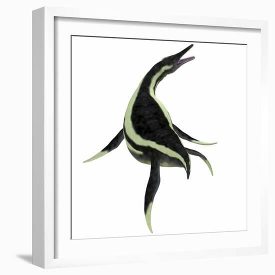 Dolichorhynchops Marine Reptile-Stocktrek Images-Framed Art Print