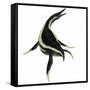 Dolichorhynchops Marine Reptile-Stocktrek Images-Framed Stretched Canvas