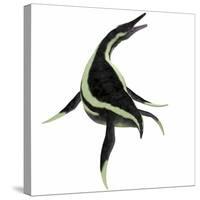 Dolichorhynchops Marine Reptile-Stocktrek Images-Stretched Canvas