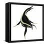 Dolichorhynchops Marine Reptile-Stocktrek Images-Framed Stretched Canvas