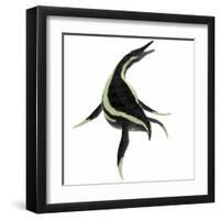 Dolichorhynchops Marine Reptile-Stocktrek Images-Framed Art Print