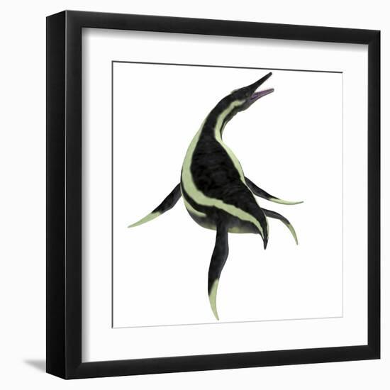 Dolichorhynchops Marine Reptile-Stocktrek Images-Framed Art Print