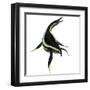 Dolichorhynchops Marine Reptile-Stocktrek Images-Framed Art Print