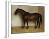 Dollar, a Bay Hunter in a Loose Box-Jean Leon Gerome-Framed Giclee Print