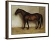 Dollar, a Bay Hunter in a Loose Box-Jean Leon Gerome-Framed Giclee Print