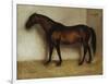 Dollar, a Bay Hunter in a Loose Box-Jean Leon Gerome-Framed Giclee Print