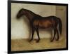 Dollar, a Bay Hunter in a Loose Box-Jean Leon Gerome-Framed Giclee Print