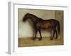 Dollar, a Bay Hunter in a Loose Box-Jean Leon Gerome-Framed Giclee Print