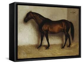 Dollar, a Bay Hunter in a Loose Box-Jean Leon Gerome-Framed Stretched Canvas