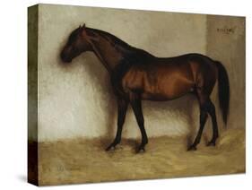 Dollar, a Bay Hunter in a Loose Box-Jean Leon Gerome-Stretched Canvas