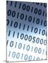 Dollar Sign Embedded in Binary Code-null-Mounted Photographic Print