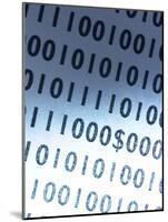 Dollar Sign Embedded in Binary Code-null-Mounted Photographic Print