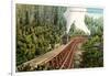 Dollarhide Trestle and Train-null-Framed Art Print