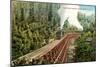 Dollarhide Trestle and Train-null-Mounted Art Print