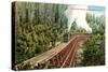 Dollarhide Trestle and Train-null-Stretched Canvas