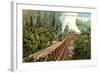 Dollarhide Trestle and Train-null-Framed Art Print