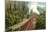 Dollarhide Trestle and Train-null-Mounted Art Print