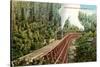 Dollarhide Trestle and Train-null-Stretched Canvas