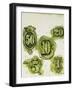 Dollars-George Adamson-Framed Giclee Print