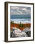 Dolly Sods Sunrise Inversion-Steven Maxx-Framed Photographic Print