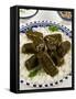 Dolma (Dolmades), Grape Leaves Stuffed with Meat and Rice, Turkey and Greece-Nico Tondini-Framed Stretched Canvas