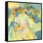 Dolman Dance-Emilia Arana-Framed Stretched Canvas