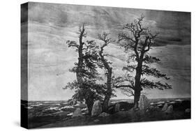 Dolmen by the Sea-Caspar David Friedrich-Stretched Canvas