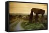 Dolmen in Irish Countryside-Richard T. Nowitz-Framed Stretched Canvas