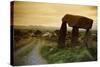 Dolmen in Irish Countryside-Richard T. Nowitz-Stretched Canvas