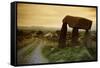 Dolmen in Irish Countryside-Richard T. Nowitz-Framed Stretched Canvas