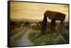 Dolmen in Irish Countryside-Richard T. Nowitz-Framed Stretched Canvas