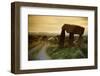 Dolmen in Irish Countryside-Richard T. Nowitz-Framed Photographic Print