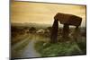 Dolmen in Irish Countryside-Richard T. Nowitz-Mounted Photographic Print