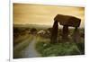 Dolmen in Irish Countryside-Richard T. Nowitz-Framed Photographic Print