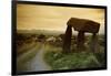 Dolmen in Irish Countryside-Richard T. Nowitz-Framed Photographic Print