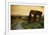 Dolmen in Irish Countryside-Richard T. Nowitz-Framed Photographic Print