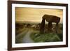 Dolmen in Irish Countryside-Richard T. Nowitz-Framed Photographic Print