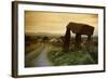 Dolmen in Irish Countryside-Richard T. Nowitz-Framed Photographic Print