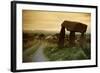 Dolmen in Irish Countryside-Richard T. Nowitz-Framed Photographic Print