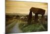 Dolmen in Irish Countryside-Richard T. Nowitz-Mounted Photographic Print