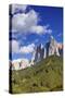 Dolomite Alps and Forest, Northern Italy-null-Stretched Canvas