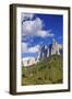 Dolomite Alps and Forest, Northern Italy-null-Framed Photographic Print