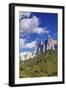 Dolomite Alps and Forest, Northern Italy-null-Framed Photographic Print