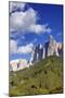 Dolomite Alps and Forest, Northern Italy-null-Mounted Photographic Print