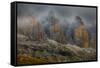 Dolomites, Italy-Art Wolfe-Framed Stretched Canvas