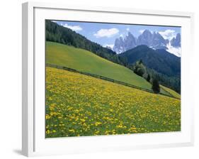 Dolomites Mountains and Wild Yellow Flowers, Villnoss / Val Di Funes, Trentino, Italy-Steve Vidler-Framed Photographic Print