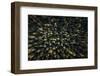 Dolomiti-David Martín Castán-Framed Photographic Print