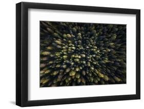 Dolomiti-David Martín Castán-Framed Photographic Print