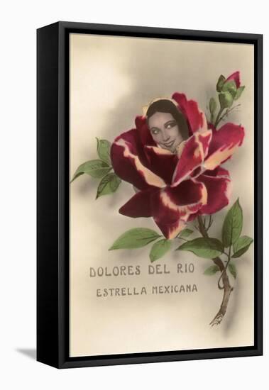 Dolores Del Rio, Mexican Star-null-Framed Stretched Canvas