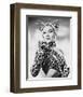 Dolores del Rio-null-Framed Photo